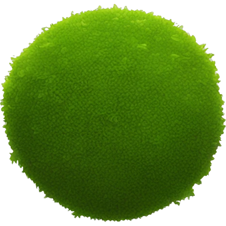 moss ball emoji