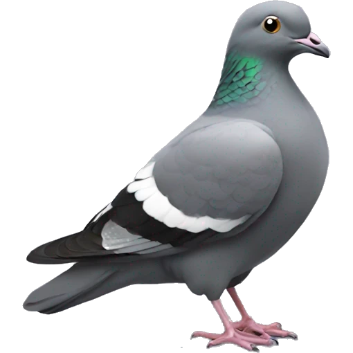 bowing pigeon emoji