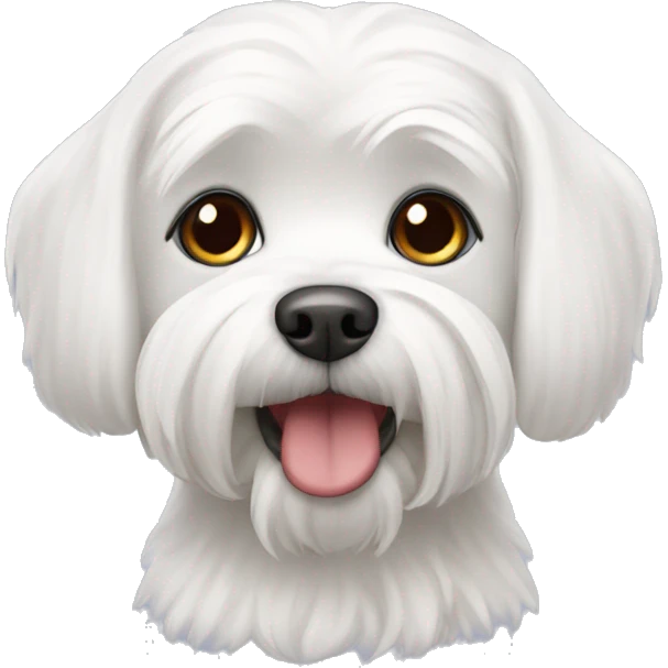 white Maltese dog emoji