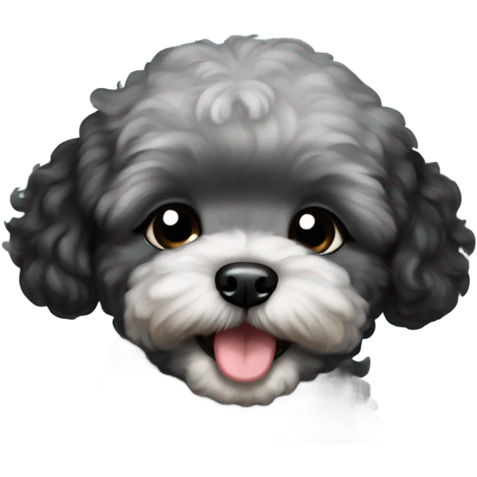 Baby black maltipoo laughing with tears and eyes closed  emoji