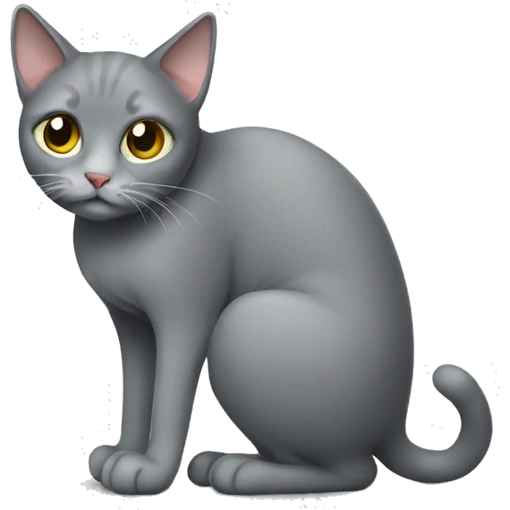 a grey cat peeing on floor emoji