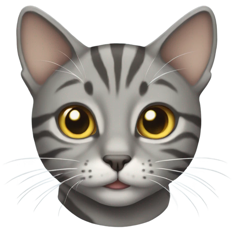 Grey tabby cat  emoji