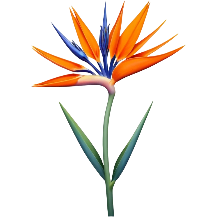 single Strelitzia Reginae, straight stem emoji