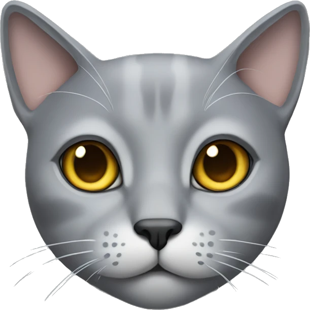 A grey cat with one eye emoji