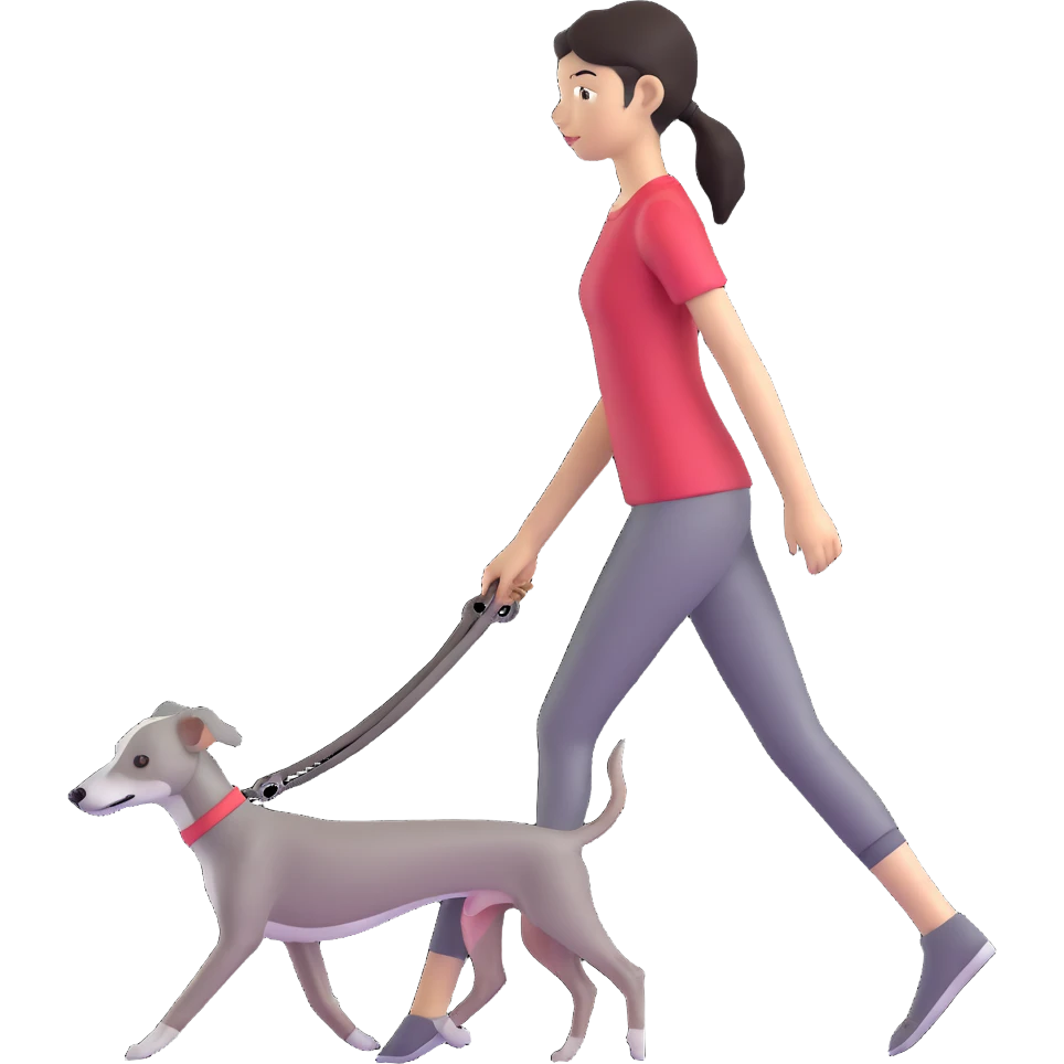 Beautiful Asian girl walking a solid grey Italian greyhound with absolutely no white markings, completely grey dog emoji
