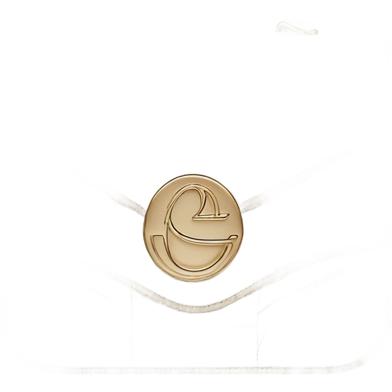 Dior bag emoji