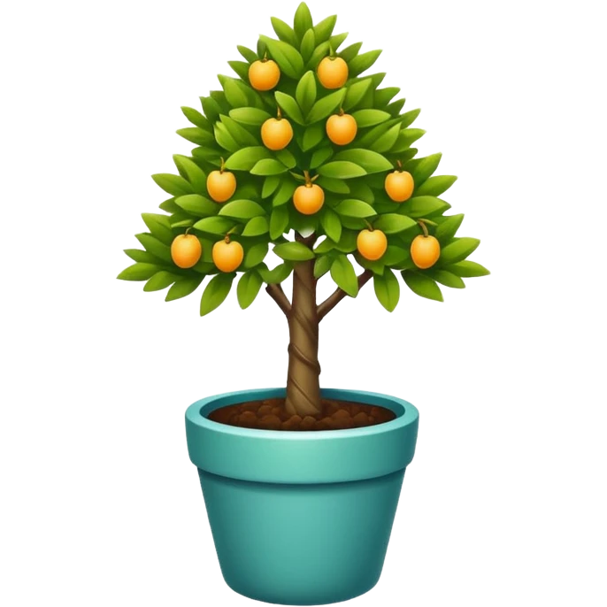 potted little tree emoji