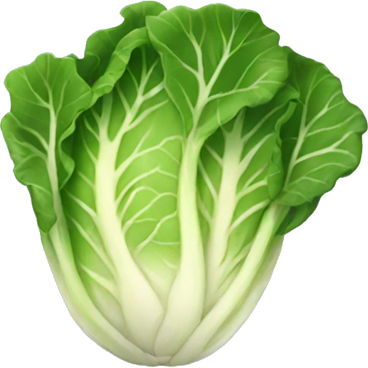 Spicy cabbage  emoji