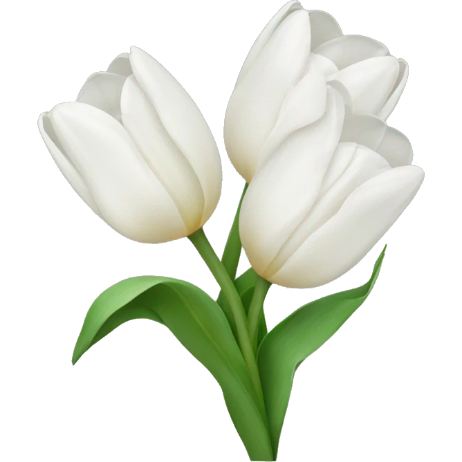 White tulips with a bow emoji