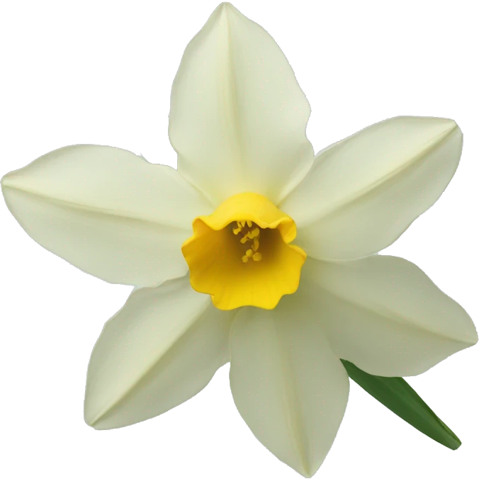 Flower of Narcissus emoji