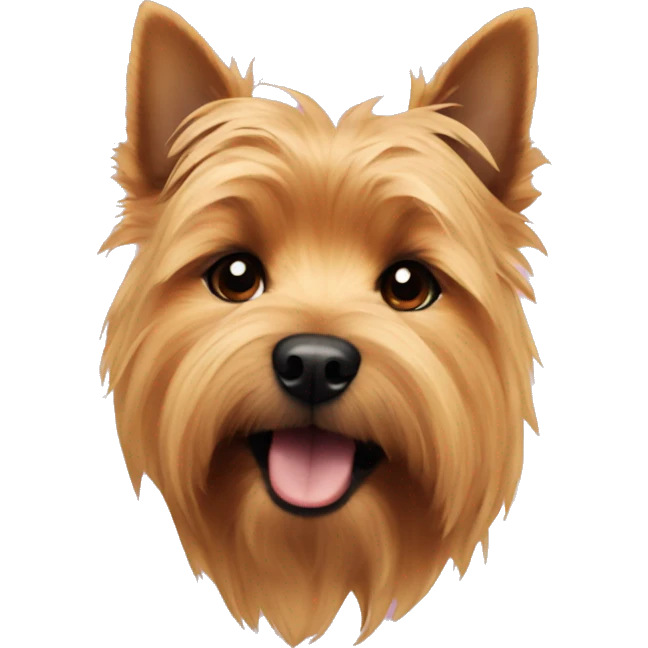 Norwich terrier  emoji