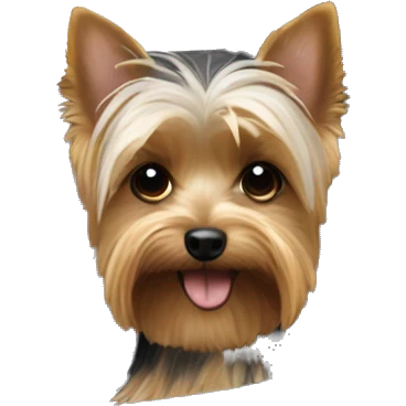 Yorkie in a convertible  emoji