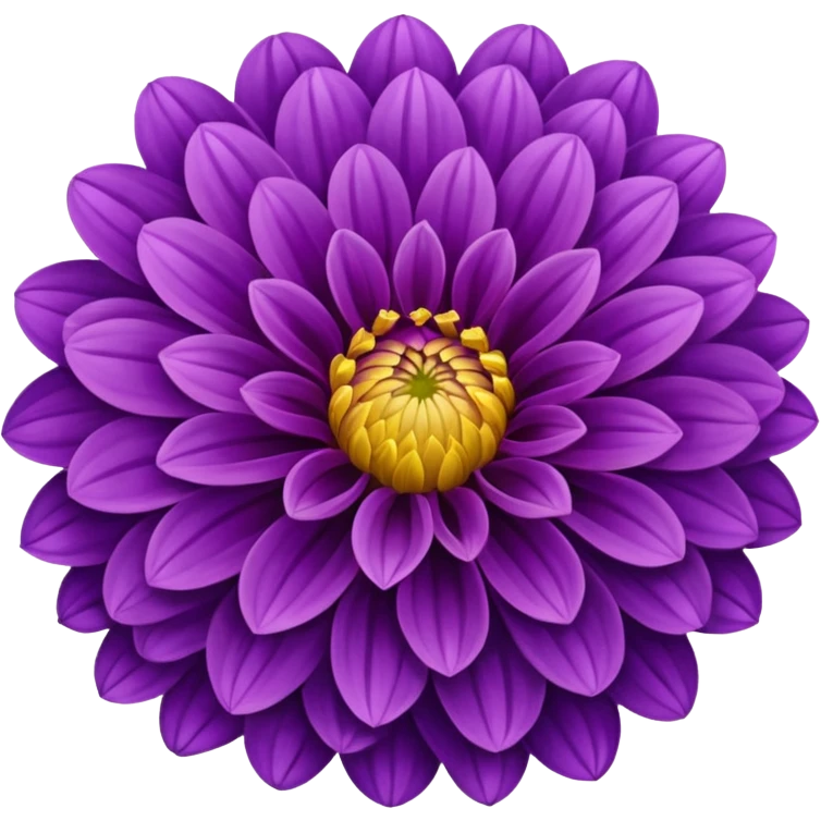 dahlia flower, purple petals, no text emoji
