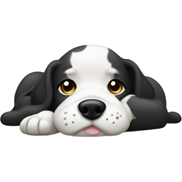 Black and white dog laying with belly up emoji
