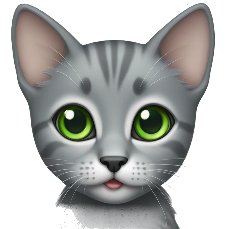 full grey kitten with green eyes  emoji