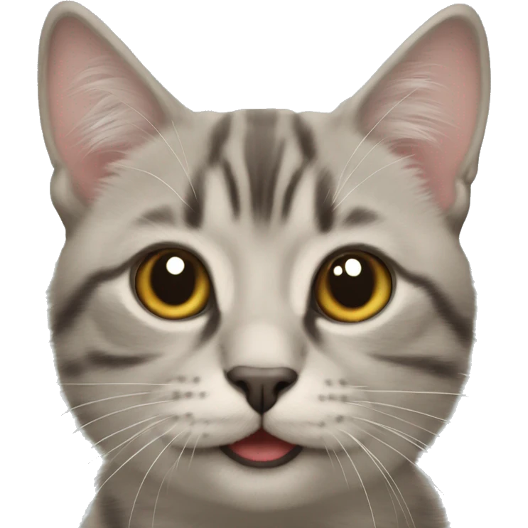Un cane che bacia un gatto nella spazio emoji