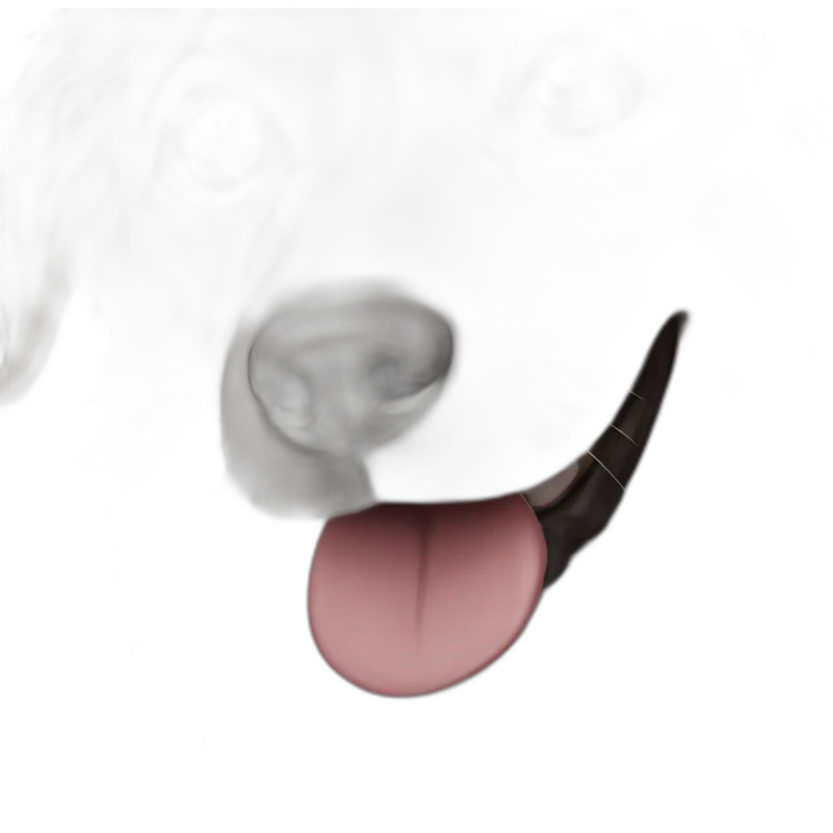 chien emoji
