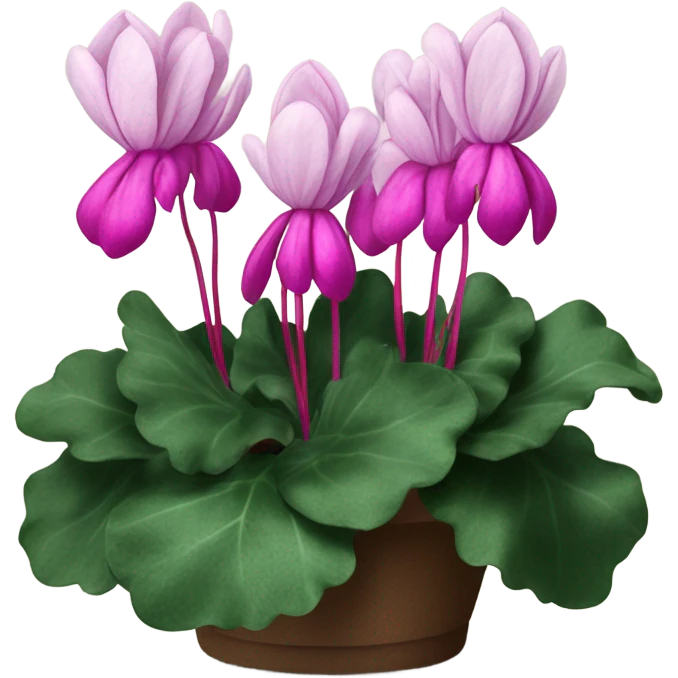 A scarlet bunch of cyclamen with a velvet bow and a vintage calligraphy set
 emoji