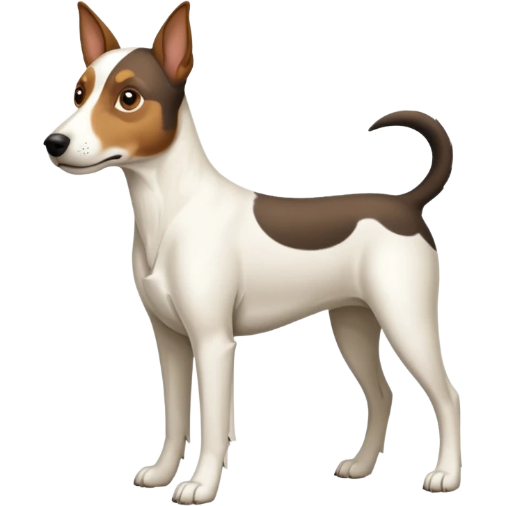 a full body large white floppy eared parson russell looking dog the size of a kelpie with light brown ears and a light brown patch on one eye and a large snout emoji
