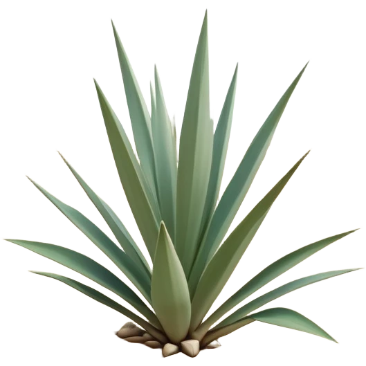 generate realistic detailed yucca in 3d style with sand  emoji