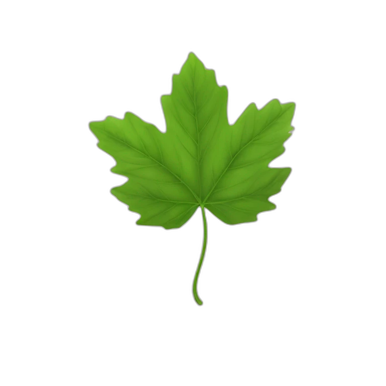 Une feuille d’érable japonais verte emoji