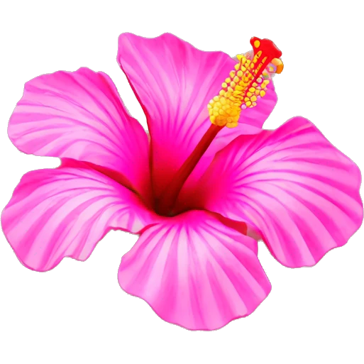 pink hibiscus flower hairclip emoji