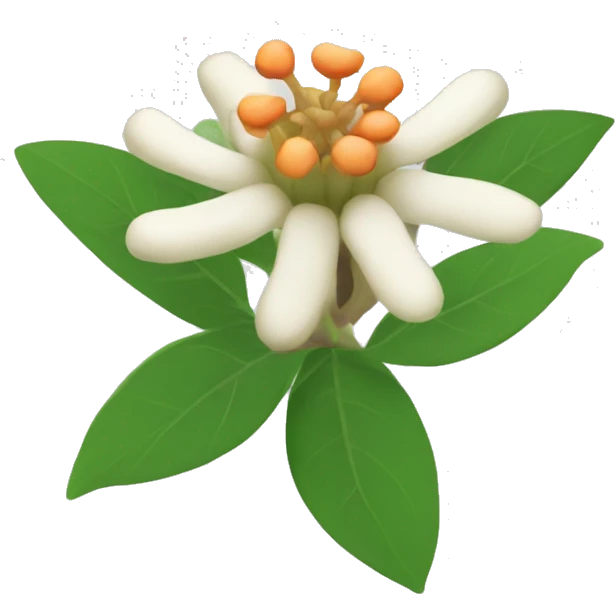 ashwagandha flower emoji