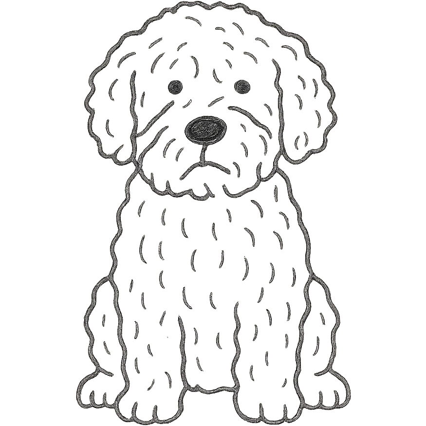 roan Lagotto Romagnolo dog hand-drawn outline icon emoji