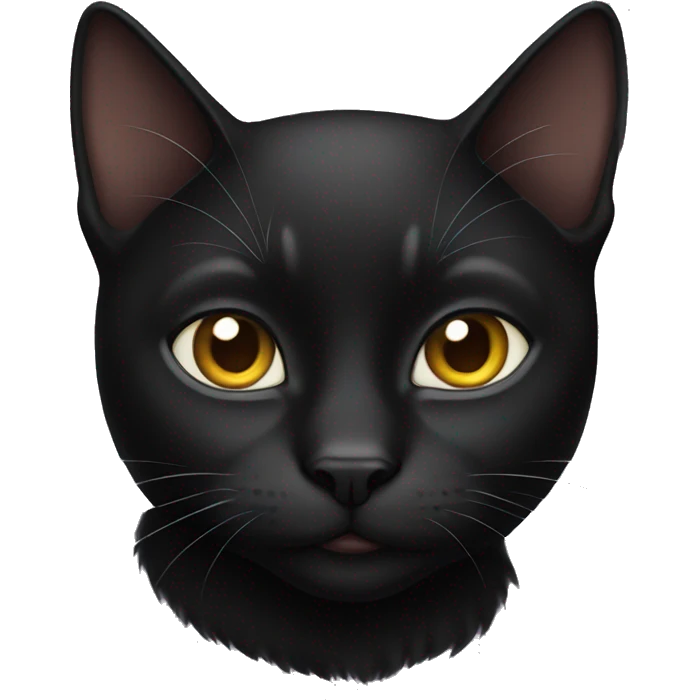 Black cat  emoji