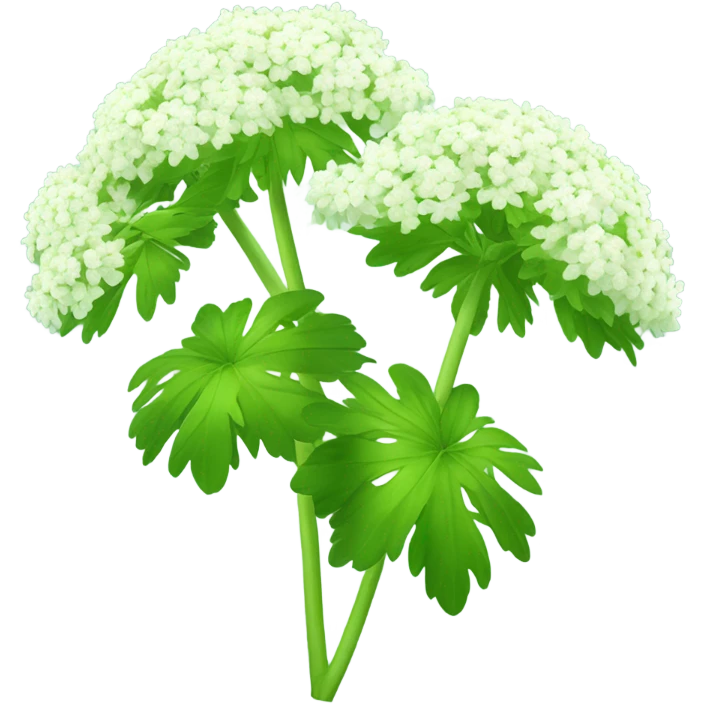 Angelica plant  emoji