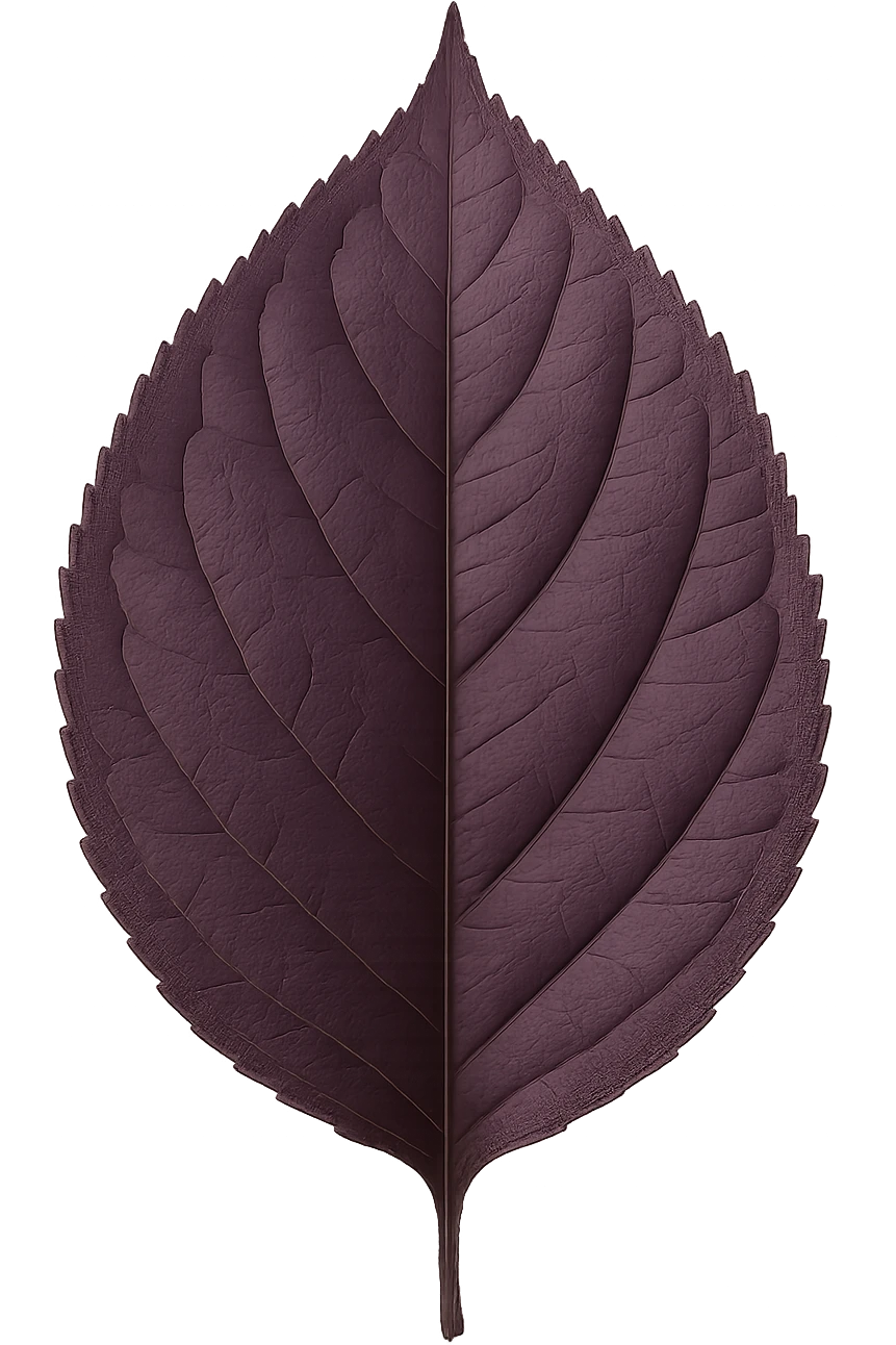 purple leaf , remove background emoji