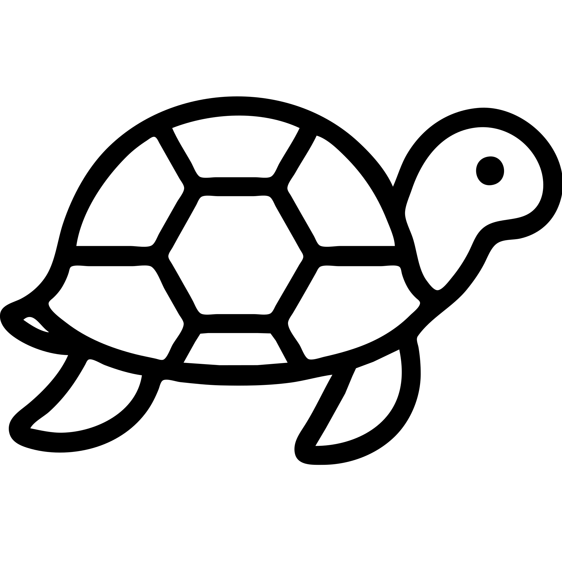 turtle icon, outlined style, modern, black lines, no fill emoji
