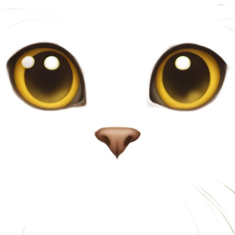 cat side eye emoji