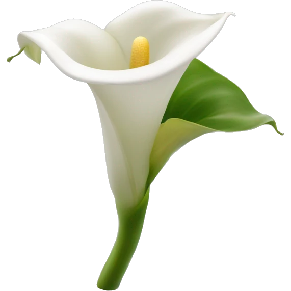 Calla lily white emoji