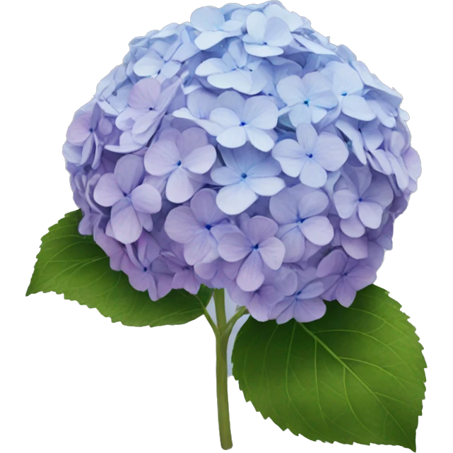 hydrangeas  emoji