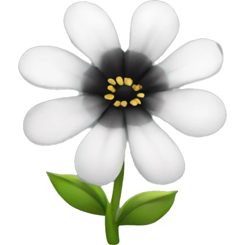 a flower having black and white petals   emoji