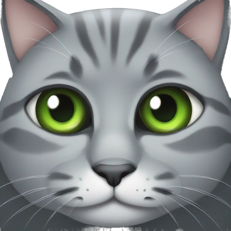 fat grey cat with green eyes emoji