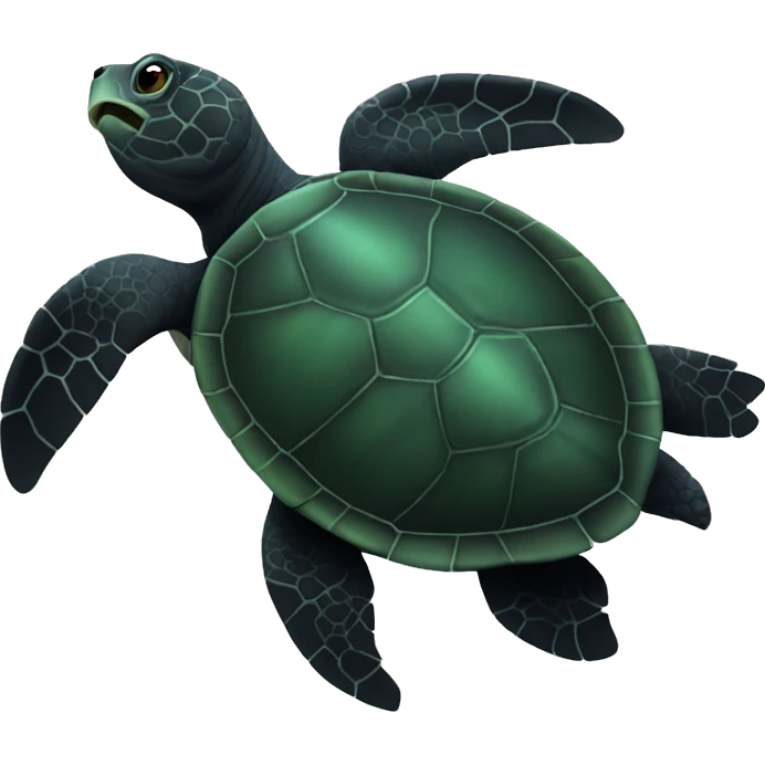 Black sea turtle  emoji