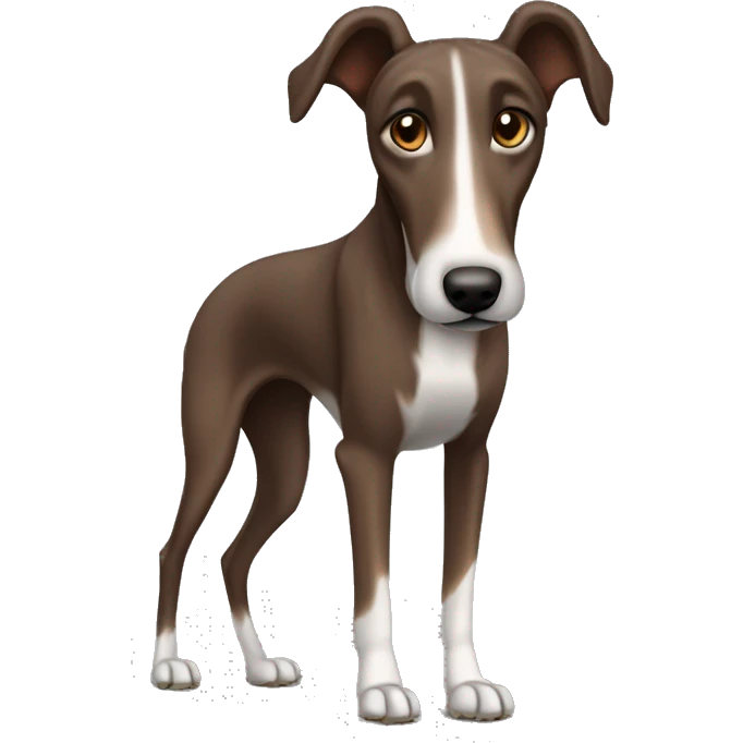 Chocolate brown lurcher grey hound cross dog  emoji