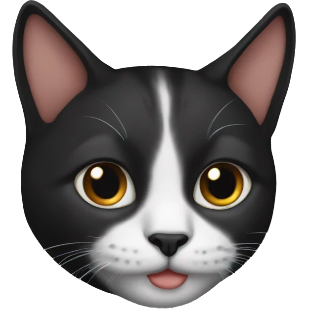 Cat black  emoji