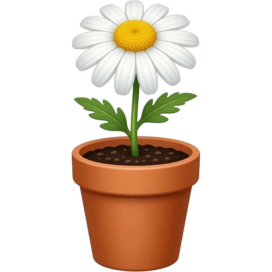 Chamomile in pot emoji