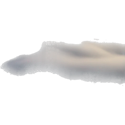 fog emoji