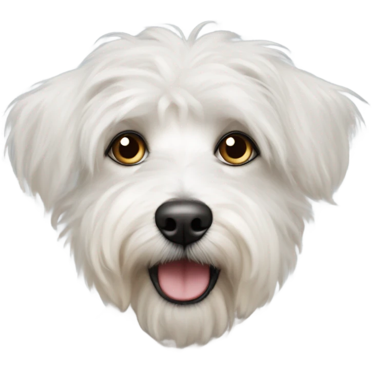 Perrito terrier tibetano blanco y ojos emoji