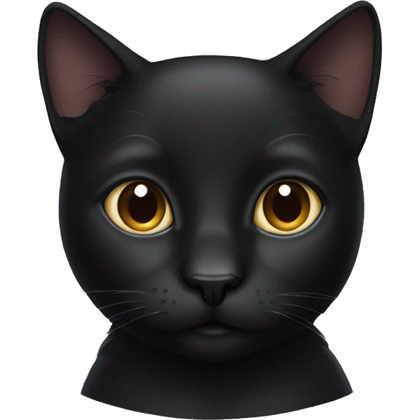 all black cat  emoji