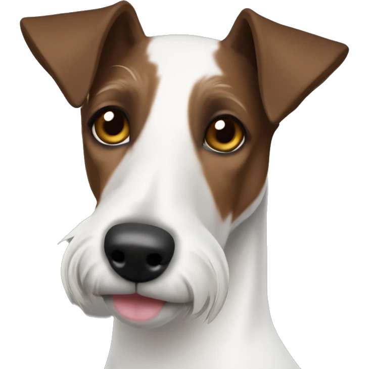 Old Smooth Fox Terrier white dark brown wearing a sweater emoji
