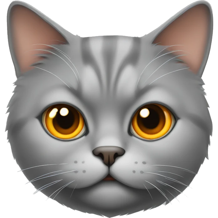Gray fat cat, orange eyes, Persian cat emoji
