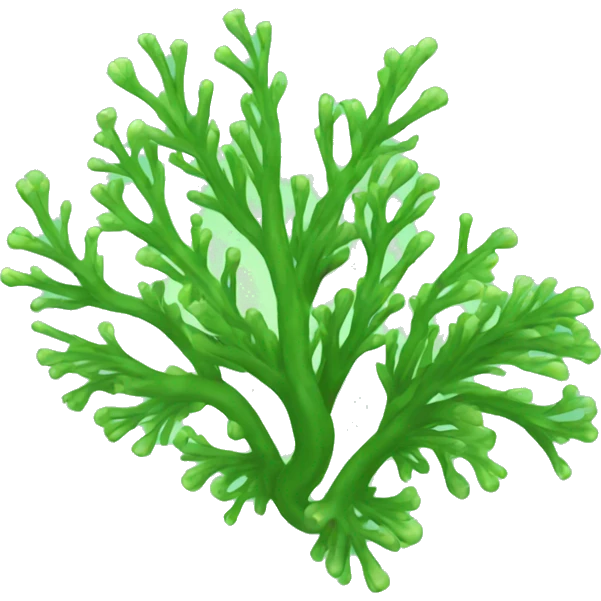 Sea algae emoji