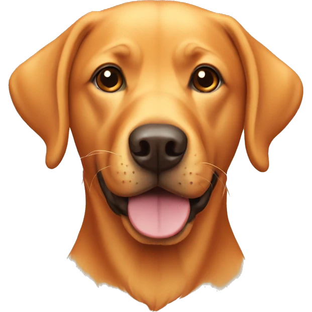 Orange Labrador emoji