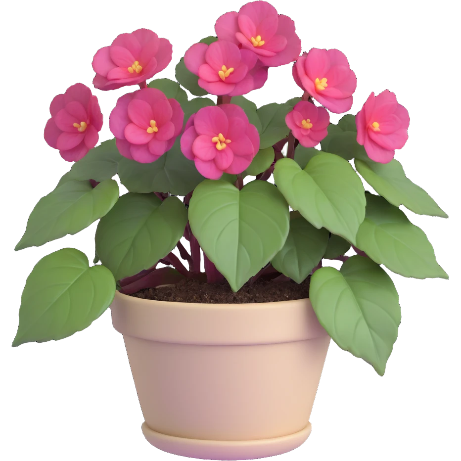 Begonia Rex with greenish-purple spiral center leaves in a beige pot emoji