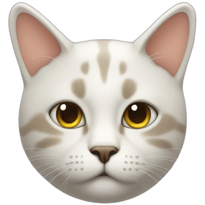 sweated cat emoji